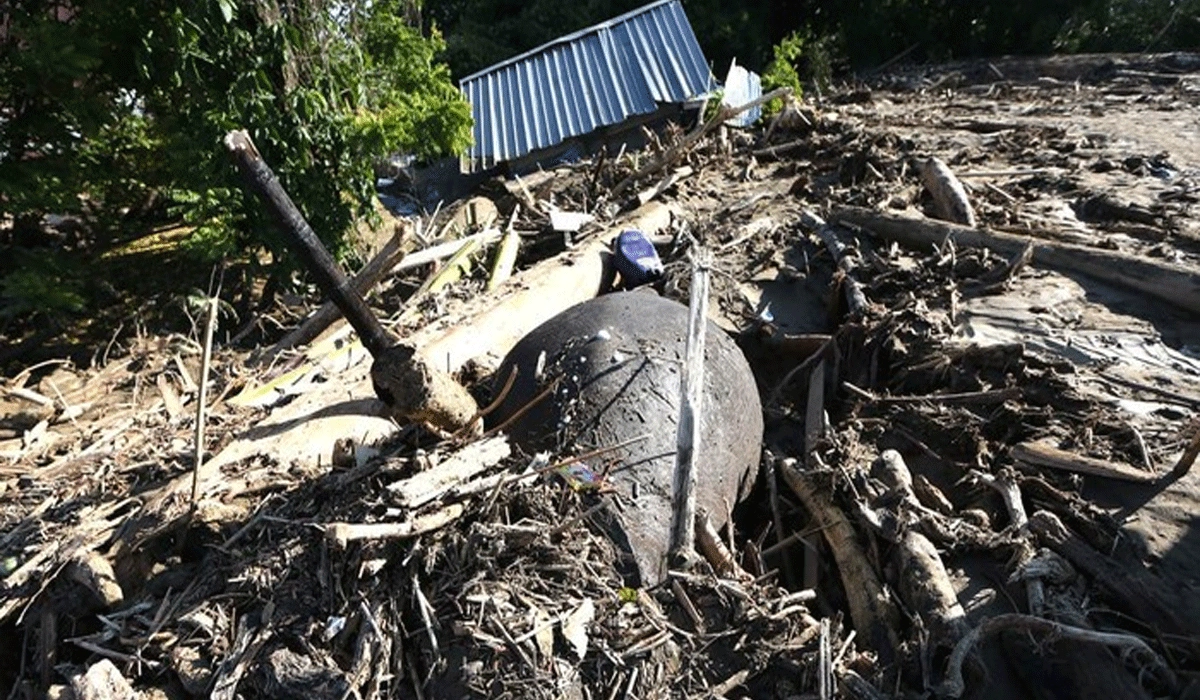 Tanggapan Pemerintah Daerah dan Nasional