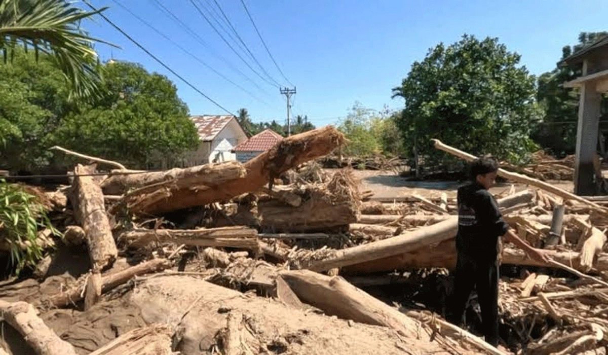 Kayu Gelondongan Misterius Sumatera Menhut Janji Bongkar Dalang Bencana