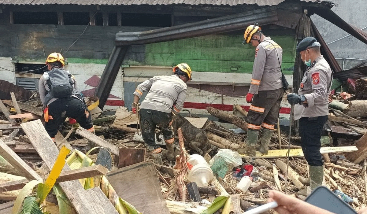 Ancaman Longsor dan Banjir di Sumater, Hutan Alam Harus Dikembalikan
