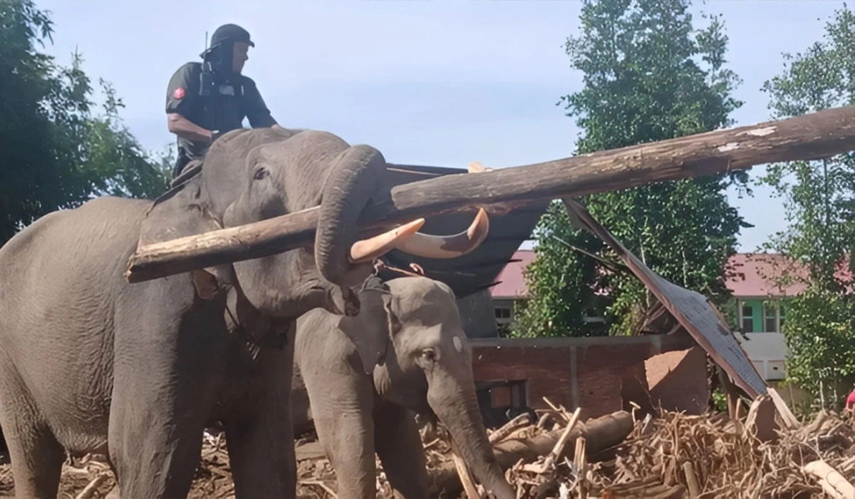 Dampak Positif Terhadap Pemulihan Wilayah