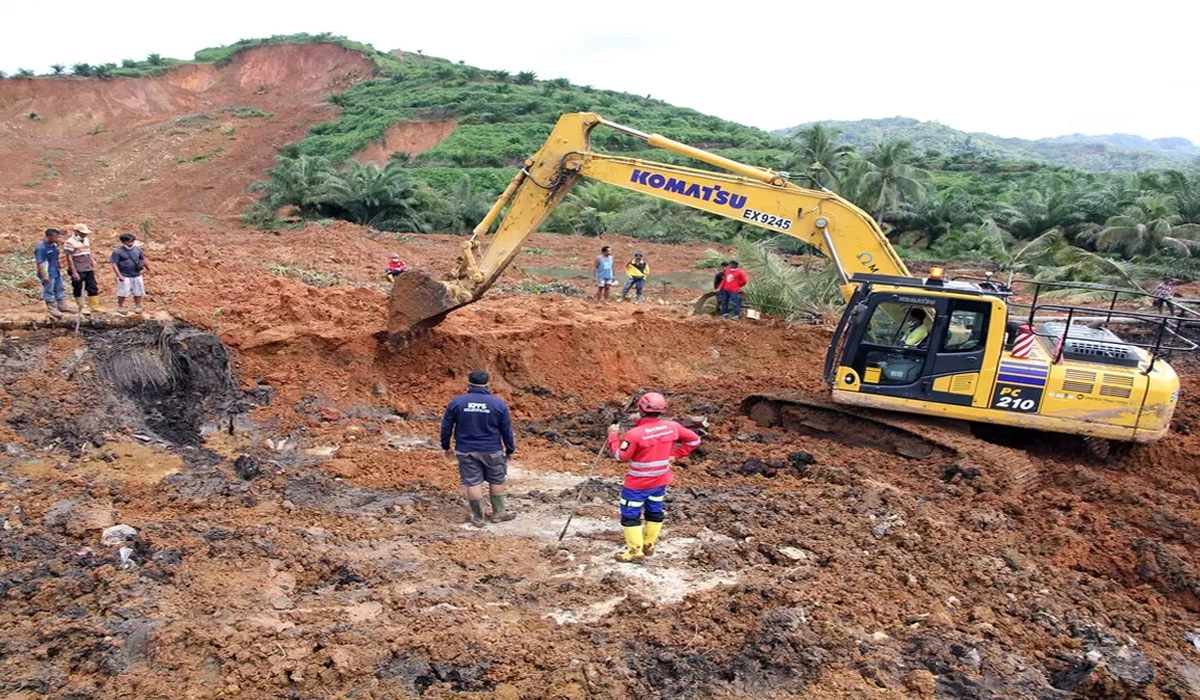 Polisi Mulai Investigasi Penebangan Hutan Picu Bencana di Sumatra